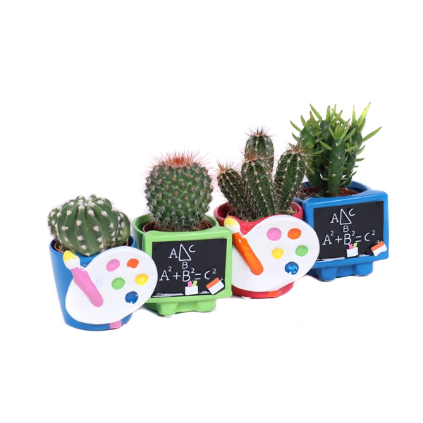 <h4>Cactus schoolbord verfpallet</h4>