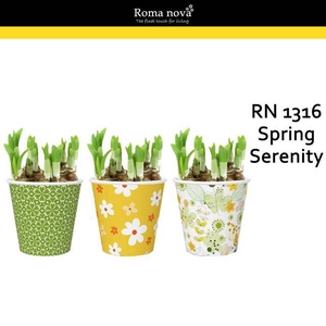 arr4 Narcis RN - Cup spring serenity