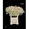 Gyps Xlence Dusty Hortensia