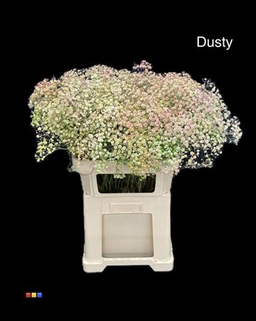 <h4>Gyps Xlence Dusty Hortensia</h4>