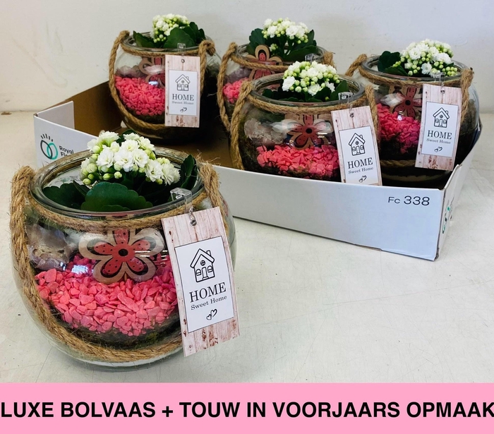 <h4>ARR KAMERPL</h4>