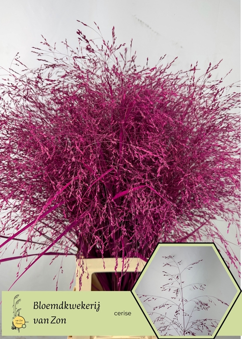 <h4>SIERGR OV KLB H%</h4>