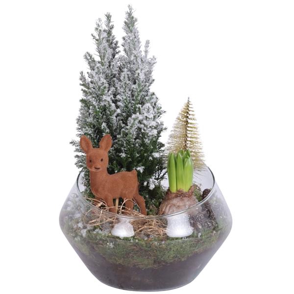 <h4>Christmas Arr. Outdoor Glass Oblique UFO Vase Ø20cm 2PP</h4>