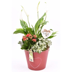 Zink pot rood met hart 18cm