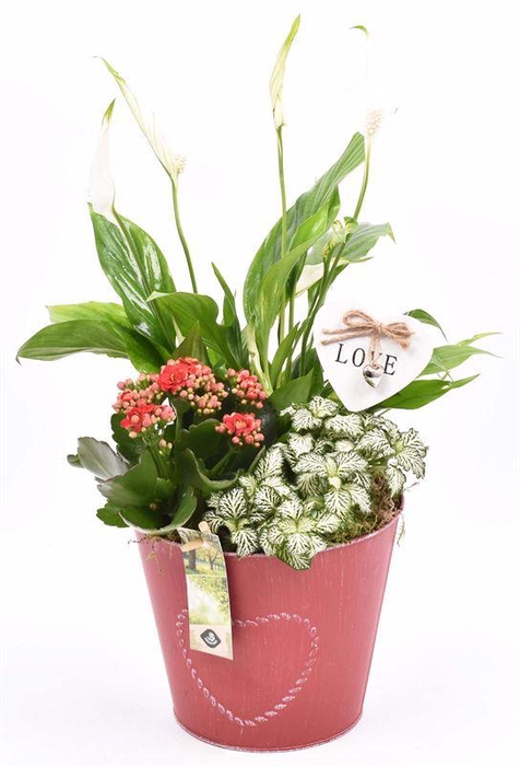 <h4>Zink pot rood met hart 18cm</h4>
