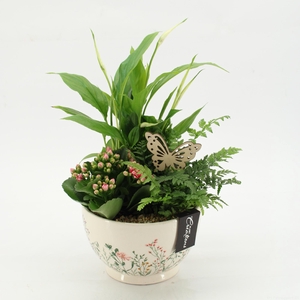 ESCR-2602RZ Essentials