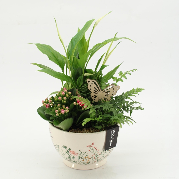 <h4>ESCR-2602RZ Essentials</h4>