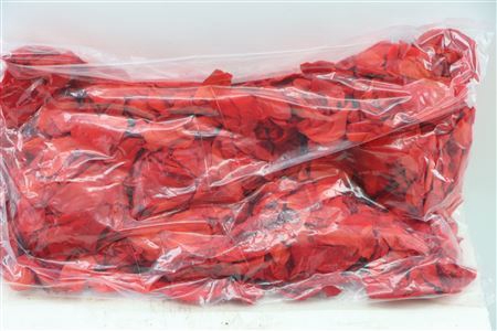 <h4>Ro Petals Red Light 500gr</h4>