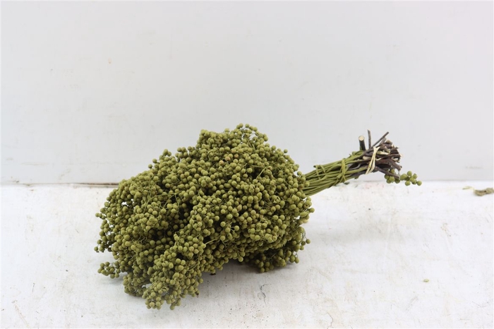 <h4>Schinus M Pt Olijf Groen Bunch Xl</h4>