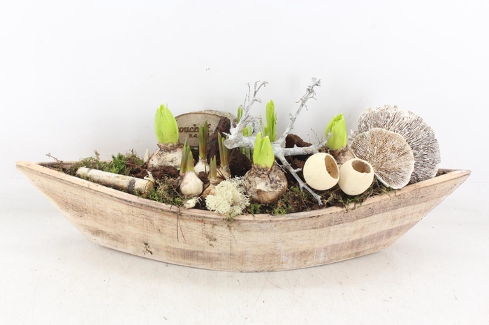 <h4>arr4 Bollenmix VL - Hout kano XL 338/2</h4>