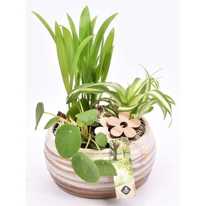 Keramiek schaal bruin/creme 16cm