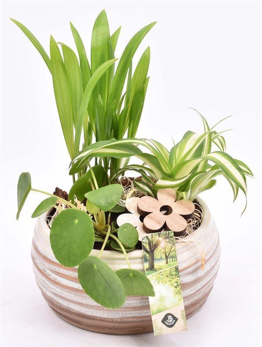 <h4>Keramiek schaal bruin/creme 16cm</h4>