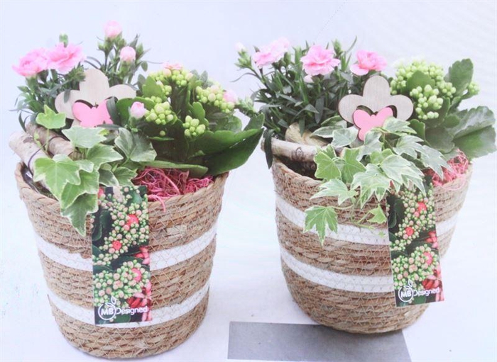 BU128 MAND STREEP GEVL