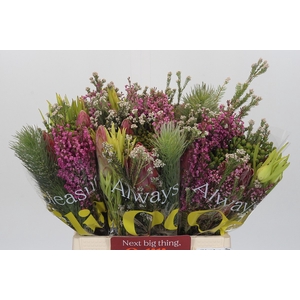 BQ Kaaps Groen Rivermix
