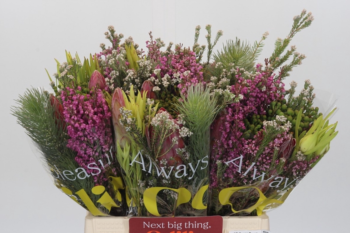 <h4>BQ Kaaps Groen Rivermix</h4>