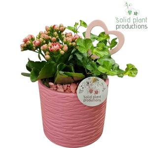 KH001 Amy 2PP Pink Love