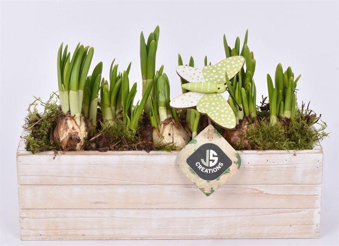 <h4>Hout rechthoek ww 27x9,5cm</h4>