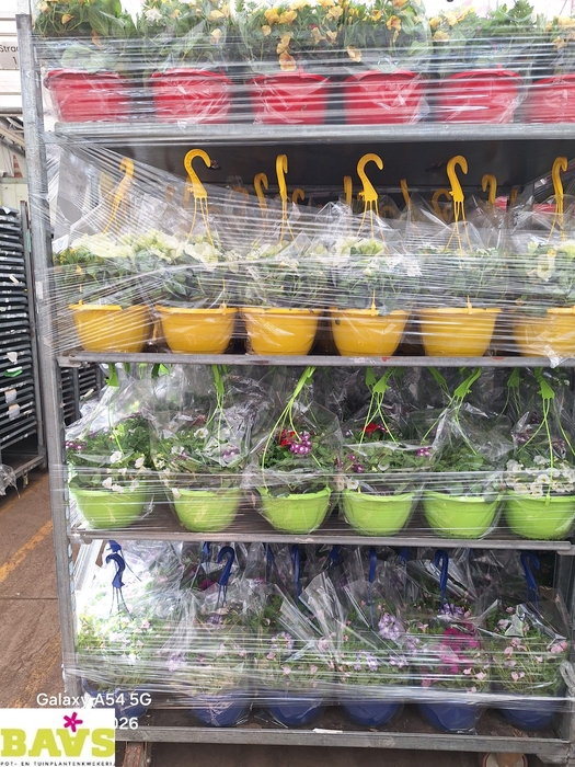 <h4>PERKPL MIXK</h4>