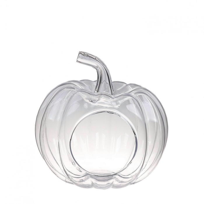 <h4>Autumn Glass Terrarium Pumpkin d19*21cm</h4>