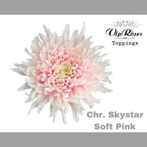 CHR G SKYSTAR SOFT PINK