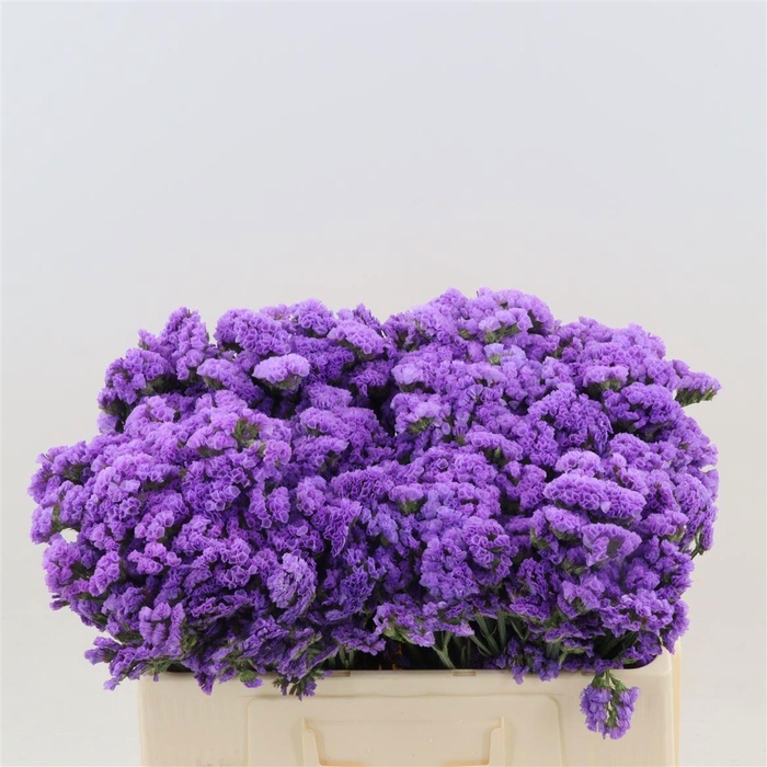 <h4>LIM S HAPPY WINGS</h4>