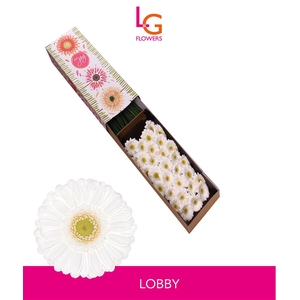 Ge Mi Lobby - Fust 614