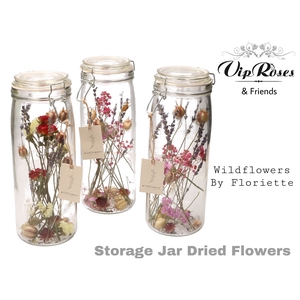 DRIED STORAGE JAR