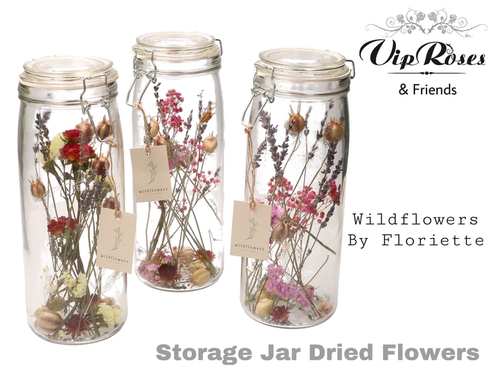 DRIED STORAGE JAR