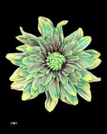 <h4>Chr T 2 Kl Baltica Hawai</h4>