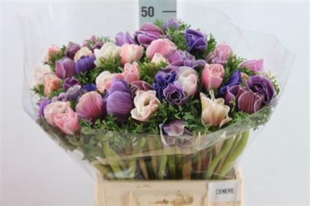 <h4>Anemone Mistral Super Cenere</h4>