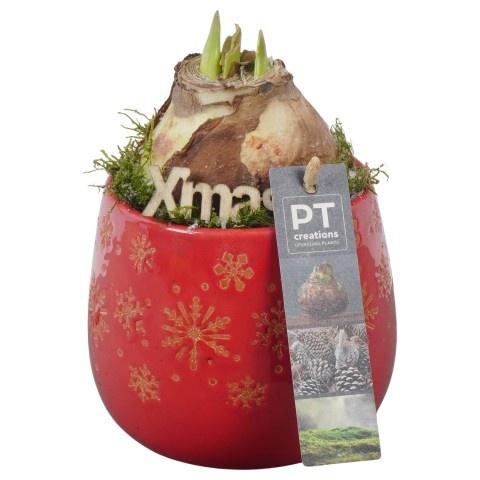 <h4>Opm Pt PTACH5807 Hipp X-mas Keramiek Pot</h4>