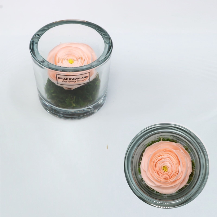 Cilinder d9x8h ranunculus pea-89 glas