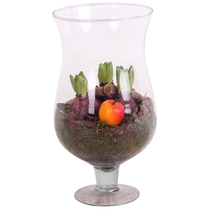 Bulbs Winter Arr. Hyacint Glass Cognac Glass Ø17cm 3PP