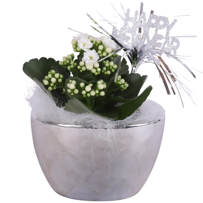 <h4>New Year Arr. Indoor Ceramic Folded Pot Silver Ø14cm 1PP</h4>