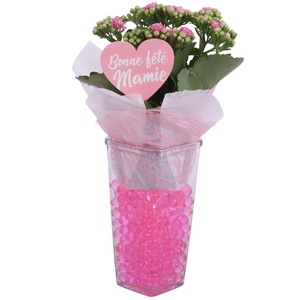 Grandmothers Day Arr. Indoor Glass Square Ø09cm 1PP