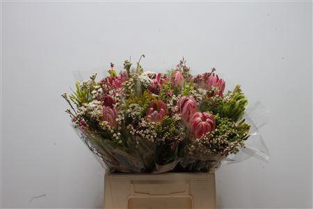 <h4>Protea   .../bos</h4>