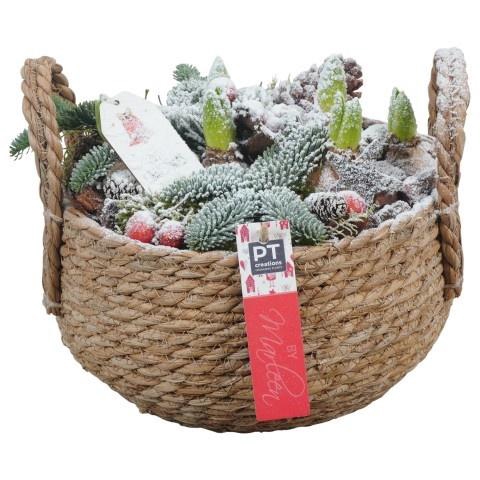 <h4>Opm Pt PTHCH6704 X-mas Riet Mand</h4>
