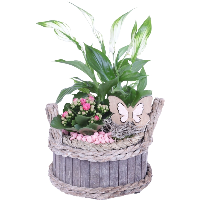 <h4>Opm Summer Arr. Indoor Wooden Waterhyacint Rim</h4>