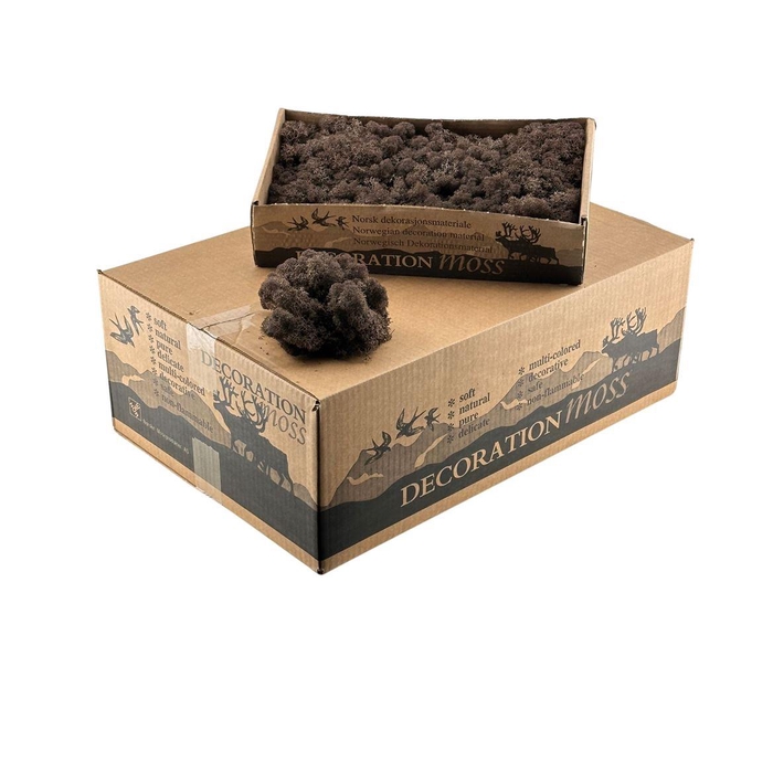 <h4>Ijslandsmos Bruin</h4>