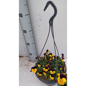 VIO CO EM L PU JU UP