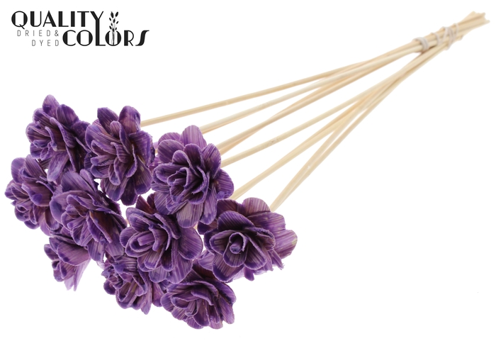 <h4>Beetal Rose 6cm on stem Wax Milka</h4>