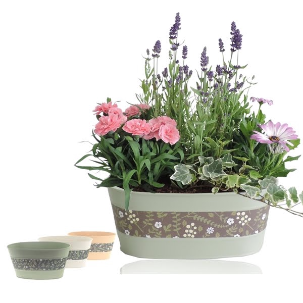 <h4>Collectie Florentina Arrangement in Zinken Schaal Ovaal 26 cm</h4>