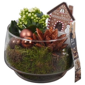 PTCHB9861 Arrangementen Kerst