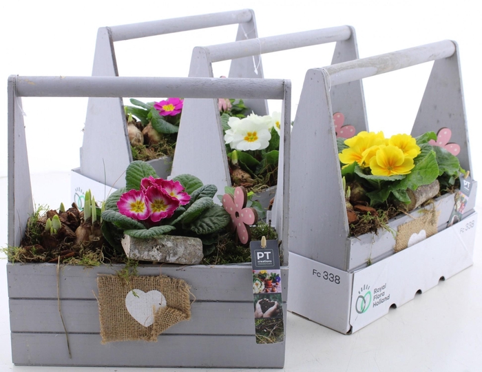 <h4>ARR PL IN SCHAAL</h4>