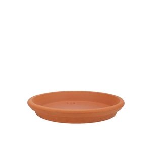 Terracotta Waterdish D21xh4cm Nm