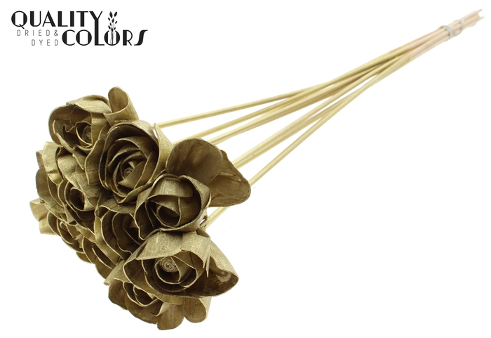 Shola Dear Holly 6cm on stem Gold