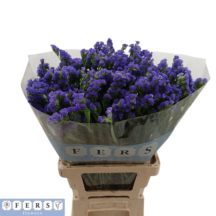 <h4>LIM S CRYST DARK BLU</h4>