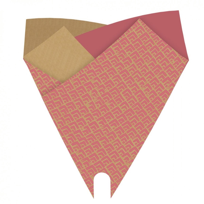 <h4>Sleeves Kraft Luz 50*44cm x25</h4>
