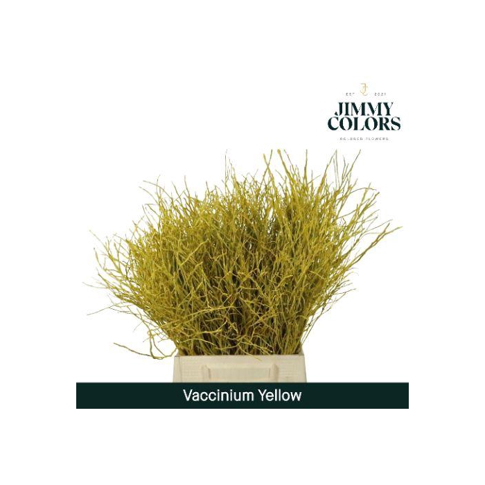 <h4>Vaccinium L50 Klbh. Geel</h4>