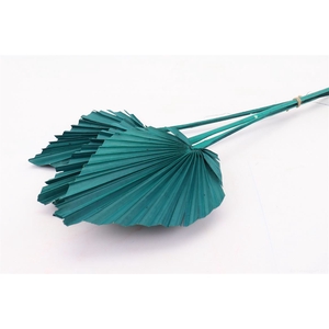DRY PALM SPEAR GREEN